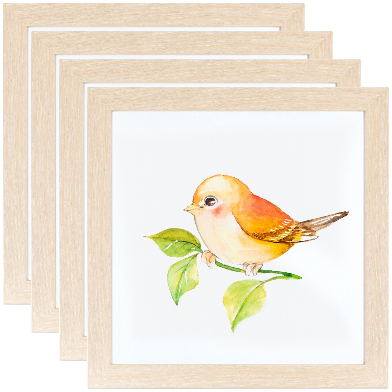 ArtToFrames 12x12 Inch Modern Picture Frame, Multi Pack, Comes with Regular Glass (WOMPack-46-12x12)